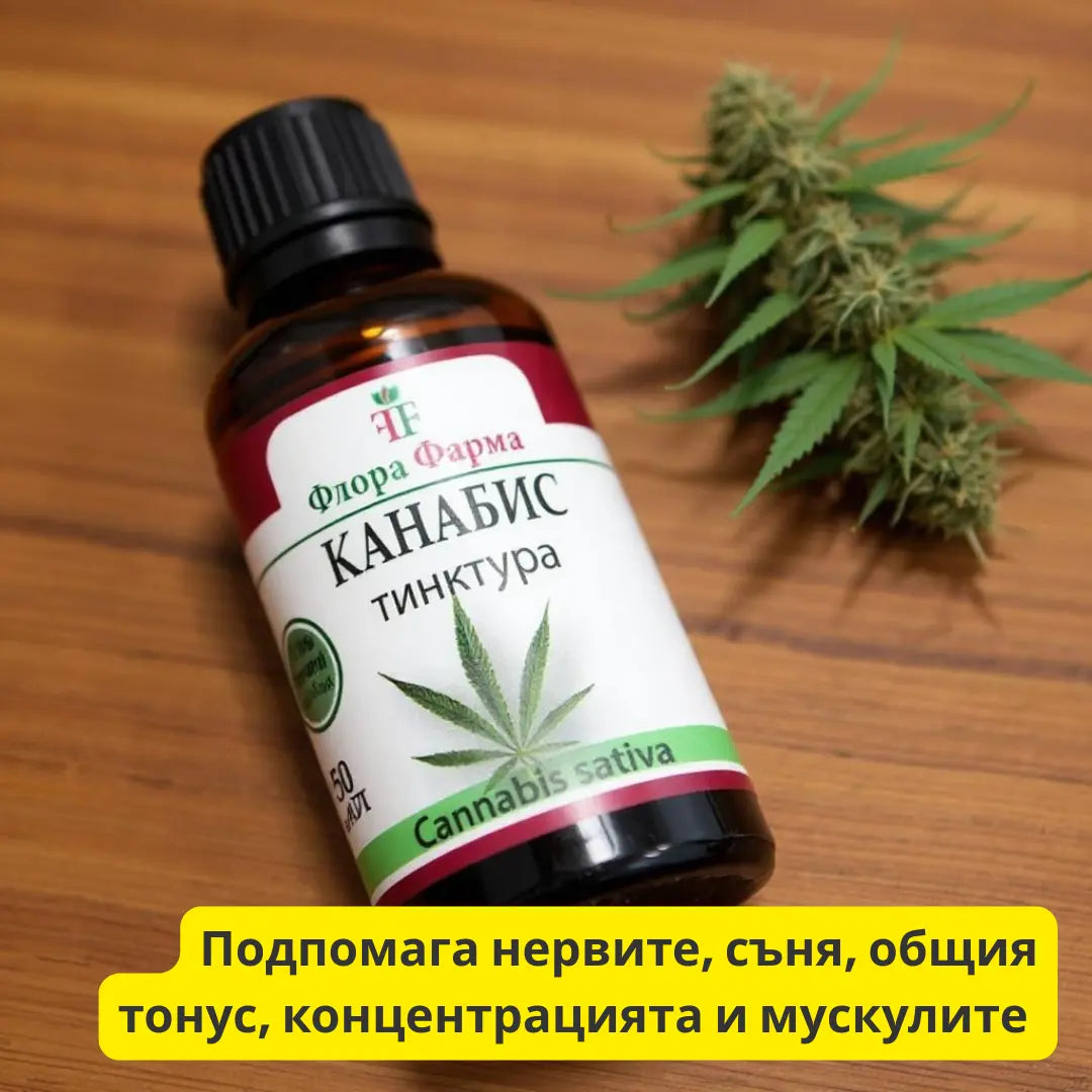 Konopie indyjskie – nalewka 50 ml – na przewlekłe bóle, stres, bezsenność